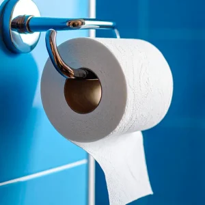 Rollo de papel higiénico doméstico