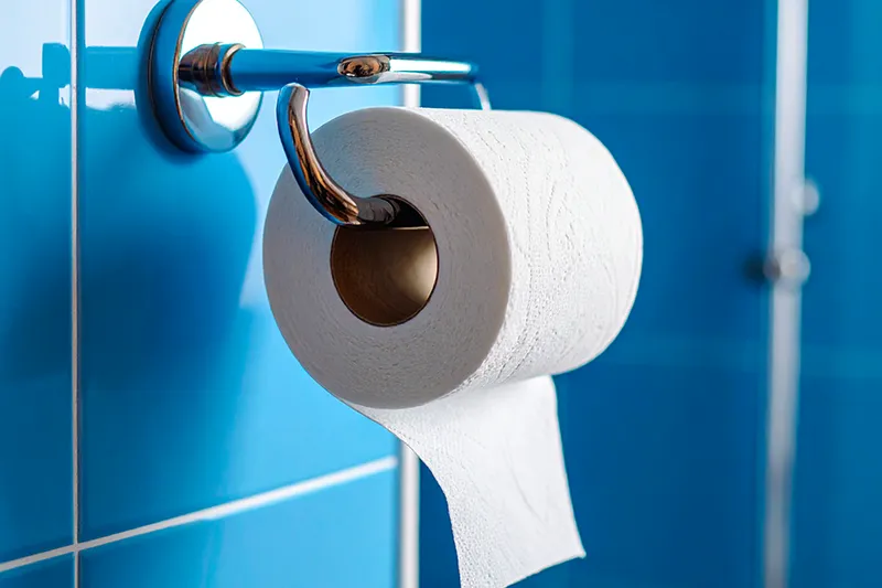 Rollo de papel higiénico doméstico